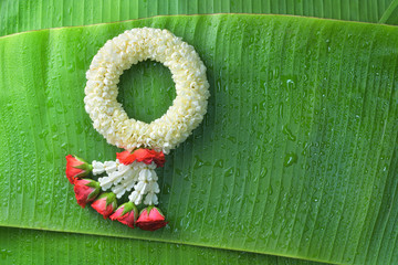 Thai traditional jasmine garland.symbol of Mother's day in thailand on Banana leaf.