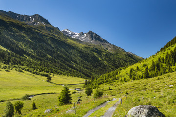 Jamtal Valley Near Galtur, Austria