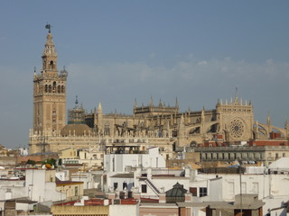 cathedrale de seville