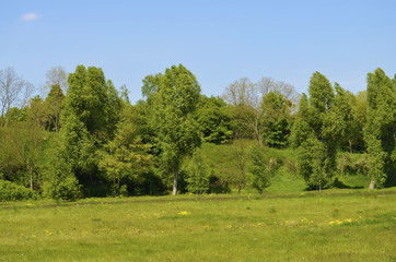 Naklejka premium View over green fields in the surrounding countryside of Berlin