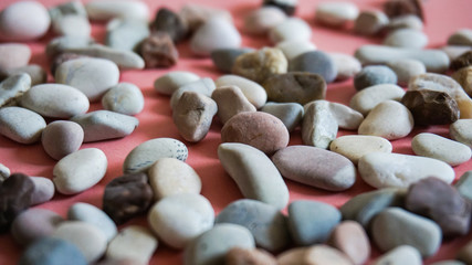 Colorful Pebble Array - A vivid assortment of multicolored stones scattered across a striking pink...