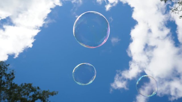 Soap bubble. Soap bubble on blue sky. A bunch of magical shining soap bubbles flying over a corn field in front of a wood. Ice bubbles