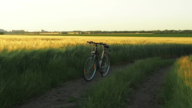 Bicycling in nature. A bicycle in the wheat field.