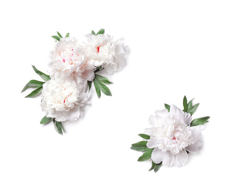 Composition of beautiful peony flowers on white background