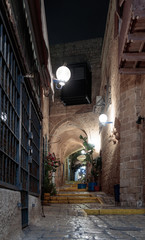 Queet street - Mazal Dagim at night in old city  Yafo, Israel.