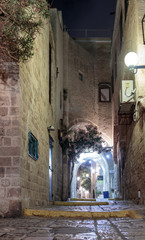 Queet street - Mazal Dagim at night in old city  Yafo, Israel.