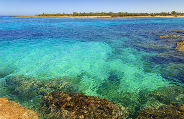 Summer seascape,Apulia coast: Nature Reserve of Torre Guaceto. Carovigno (Brindisi) -ITALY- Mediterranean maquis: a nature sanctuary between the land and the crystalline sea.