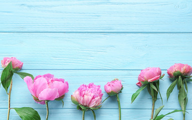 Beautiful peony flowers on color wooden background