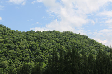 Fototapeta na wymiar cloud, blue sky and green mountain in day time