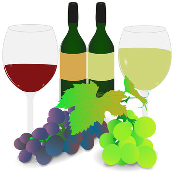 Vector, isolated image of glasses with white and red wine, a bunch of blue and green grapes and a bottle of wine.
