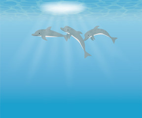 Dolphins swimming in the sea