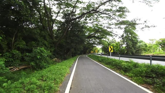 Bicycle lane between road and forest, POV and handheld shot