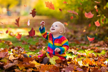 Child in fall park. Kid with autumn leaves.
