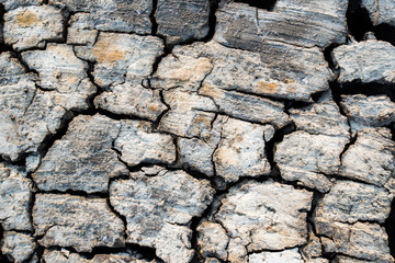 dry soil texture background