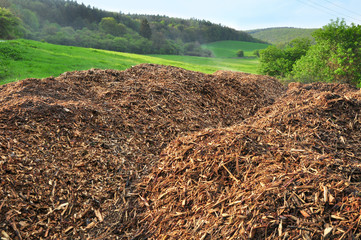 woodchips on pile nature bioamass