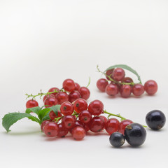 Black and Red Currants on white background