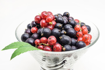 Black and Red wet Currants in glass vase on white background