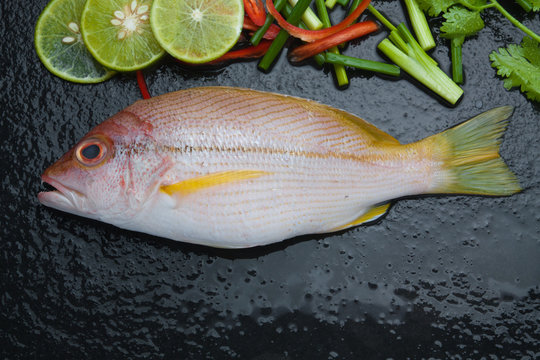 delicious portion of fresh fish fillet with aromatic herbs spices