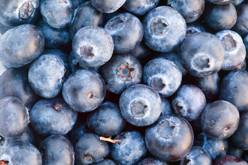 Fresh ripe blueberries fruit background