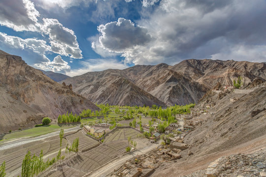 Terraced gardens in a mountain gorge on the way to the village of Alchi in Ladakh