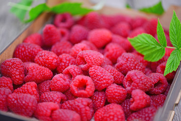 Himbeeren