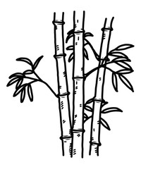 bamboo / cartoon vector and illustration, black and white, hand drawn, sketch style, isolated on white background.