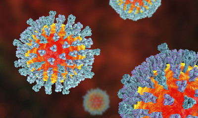 Measles viruses. 3D illustration showing structure of measles virus with surface glycoprotein spikes heamagglutinin-neuraminidase and fusion protein - obrazy, fototapety, plakaty