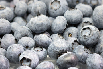 Heidelbeeren Closeup