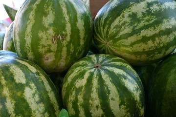 Ripe watermelons sold in the Bazaar
