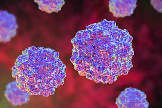 Porcine parvoviruses, 3D illustration, A virus which causes infection of fetus in swine leading to reproductive failure