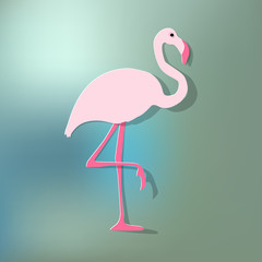 Flamingo pink on a blue bokeh background.
