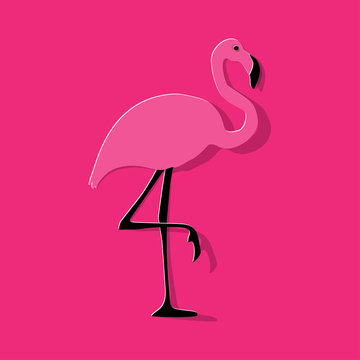 Flamingo pink on a pink background.