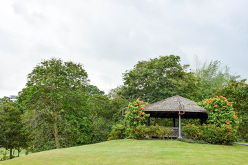 Singapore botanical garden tour