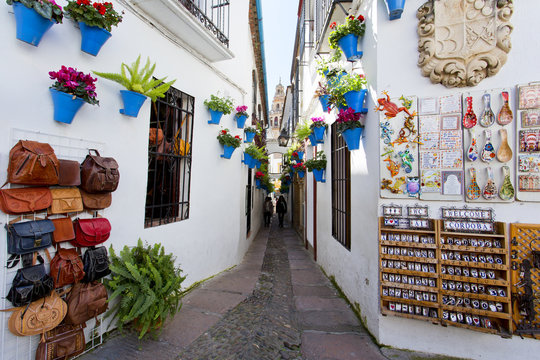 Flowers in flowerpot on the white walls on famous Flower street Calleja de las Flores in old Jewish quarter of Cordoba, Andalusia