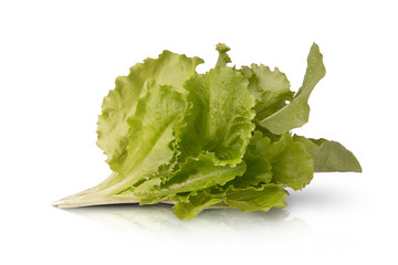 Salad leaves on white background