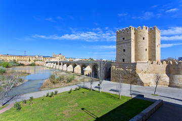 Fototapeta na wymiar The Roman bridge and the Torre de Calahorra in Cordoba