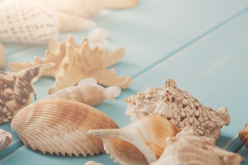 Obraz na płótnie Canvas Seashells on blue wood, sea vacation background