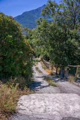 Mountain Panorama with tree and blue sky
