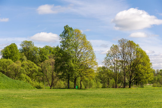 Spring landscape with green grass