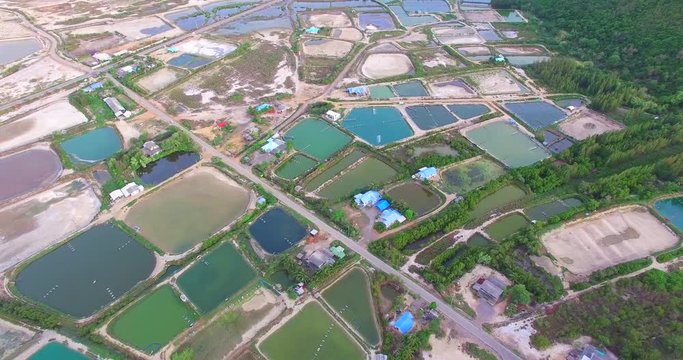 The other side of Salt field, Khao Daeng village, Pranburi, Thailand, July 2016 : the small village with people's career is shrimp farming and fishery.