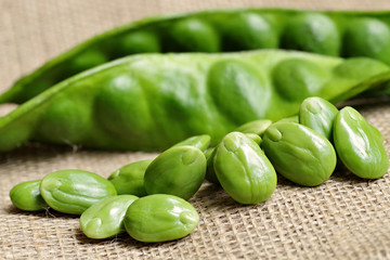 Close up the twisted cluster bean or bitter bean (Parkia speciosa) green seeds on burlap background.