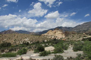 Fototapeta na wymiar Red Rock Canyon, Las Vegas, Nevada, USA