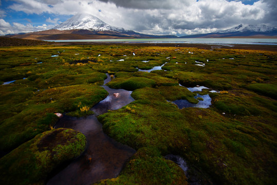 Chile, Lauca National Park
