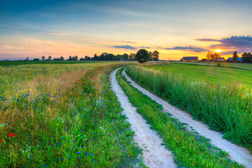 Summer landscape with country road and fields of wheat. Masuria, Poland. HDR image.
