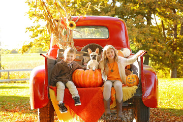 kids and puppy on back of truck in the fall