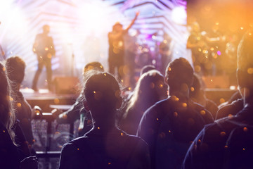 Cheering crowd at a concert