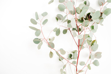 Beautiful eucalyptus branches on white background. Flat lay, top view. Lifestyle composition.