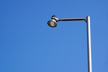 LED light on steet with blue sky