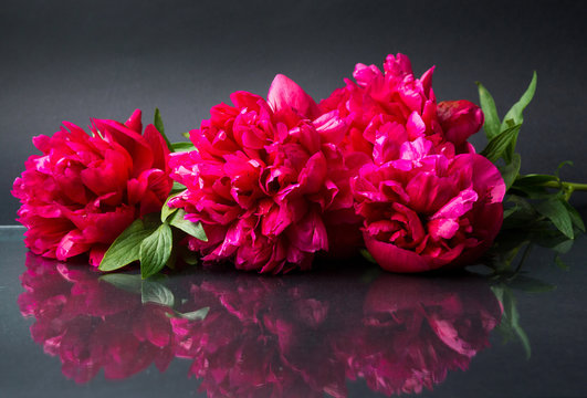 Fototapeta Red peony flowers bouquet on dark background