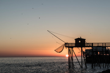 Carrelet d'atlantique